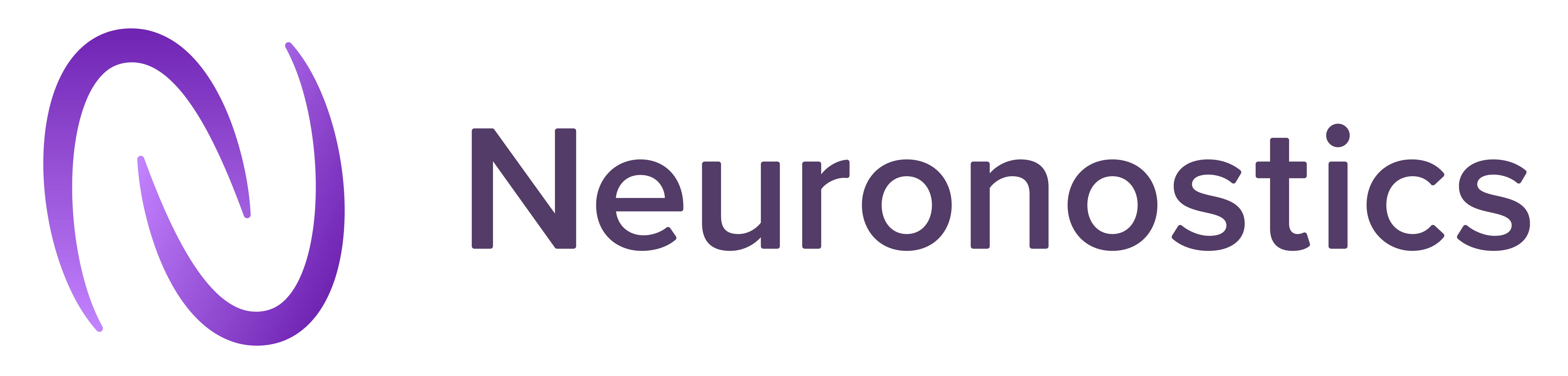 Neuronostics company logo